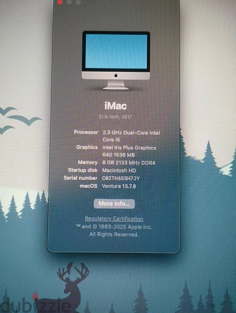 iMac 21.5 inch 2017 3
