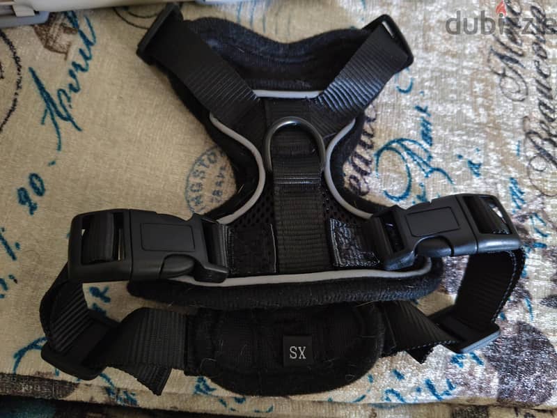 Dogs & cats harness and leash xs 1