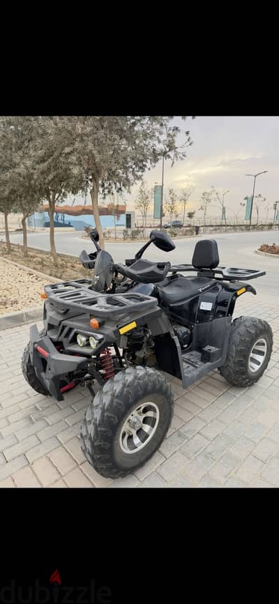 Tao motor beach buggy 250cc