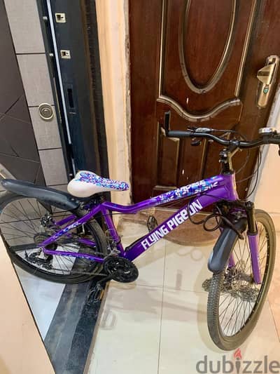 Benotto LHOTSE Flying Pigeon Mountain Bike