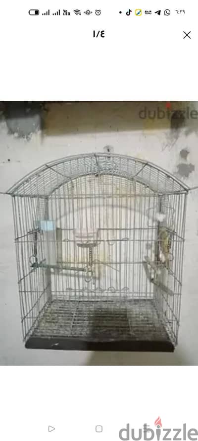 اقفاص لبيع