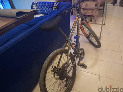 Bicycle for sale