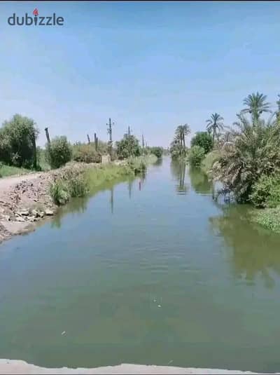 ارض ذراعيه للبيع 1000 فدان في النوباريه البحيرة