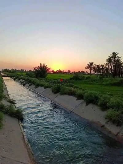 Land for sale, 7000 acres in Nubaria, Al-Buhaira
