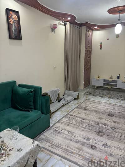 مهاب محمود