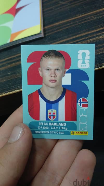 Erling Halaand panini sticker