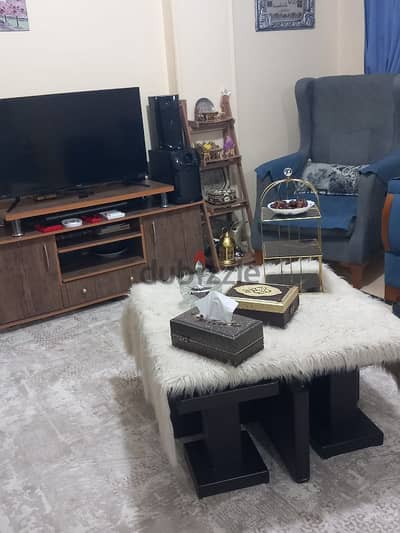 انترية