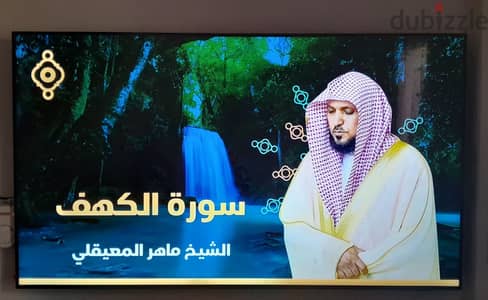 شاشة تلفزيون