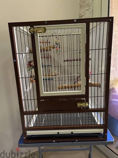 Parrot Cage For Sale  + (bird accessories and food)