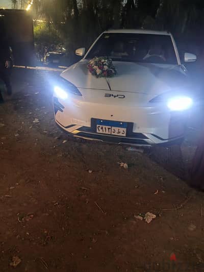 byd song plsu ev 2025