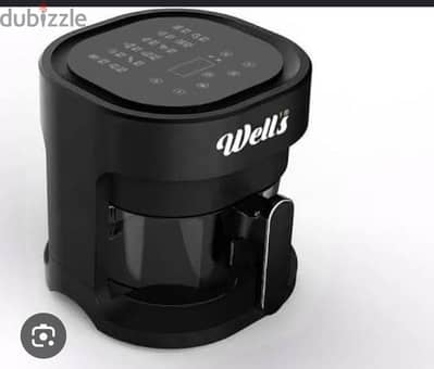 Wells air fryer
