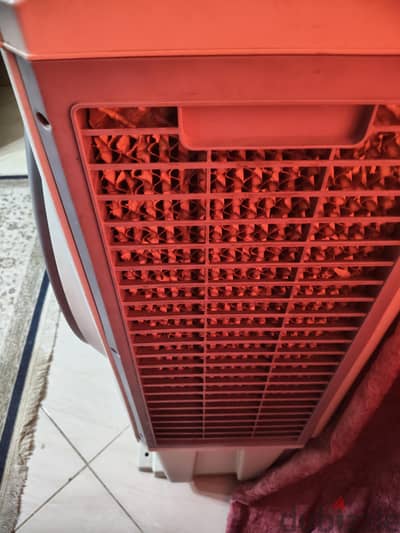 تكيف صحراوي فريش