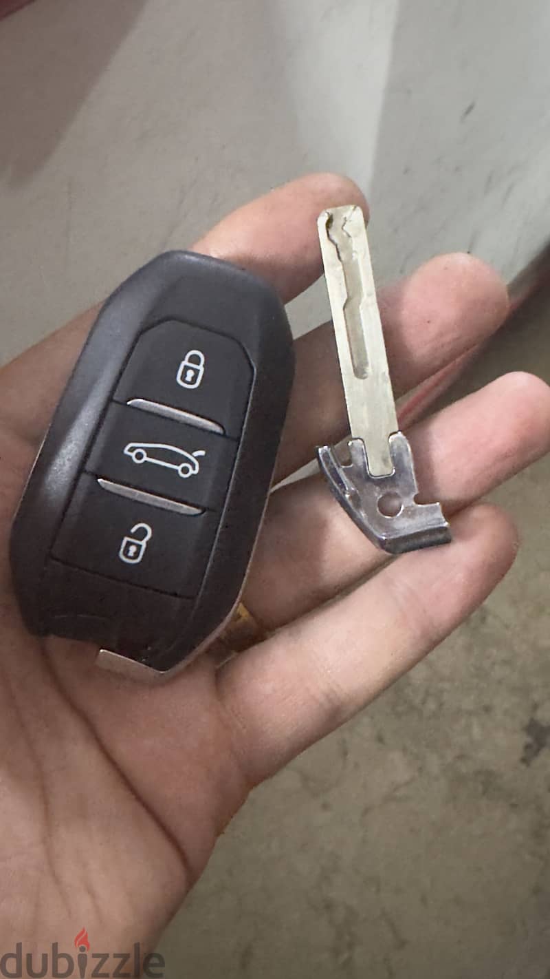 Smart key opel 2
