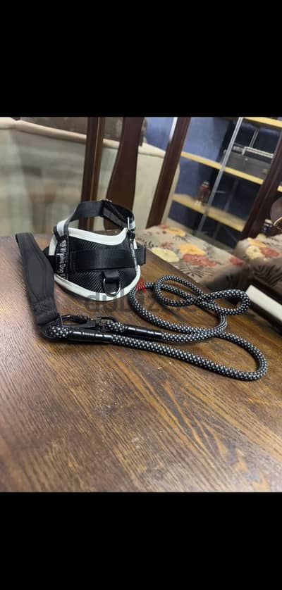 dog’s vest and leash