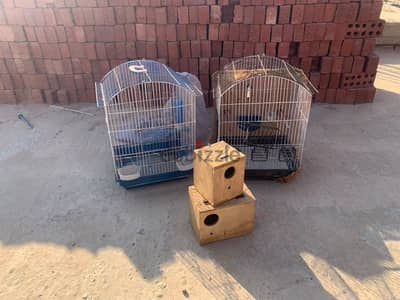 الحي 29