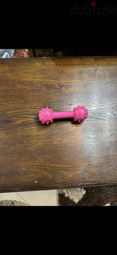 Silicon bone dog toy