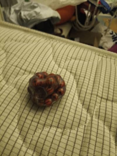 crunchy squishya