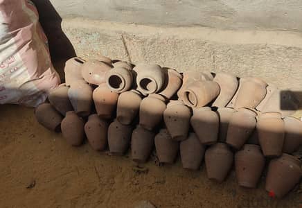 عشوش زيبرا فخار