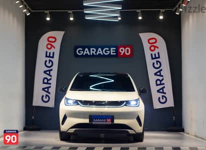 BYD Dolphin Import 2025