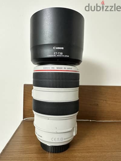 Lens 70-300
