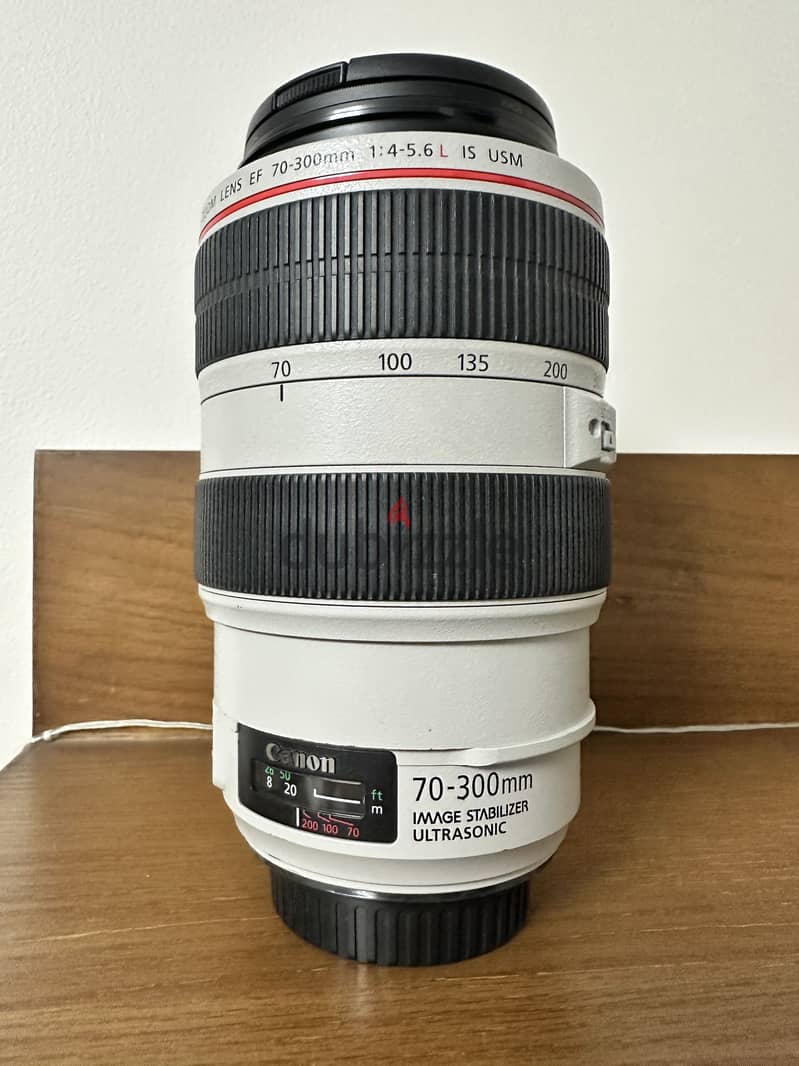 Lens 70-300 2