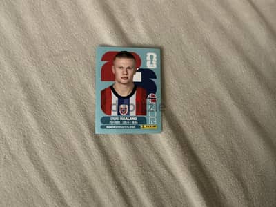 Panini sticker haaland