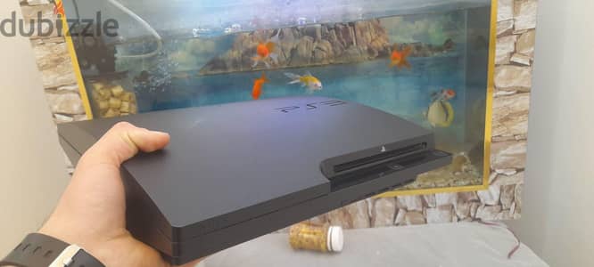 PS 3 selem