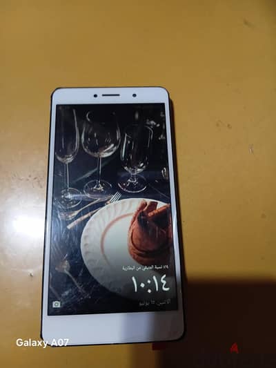 Honor X6