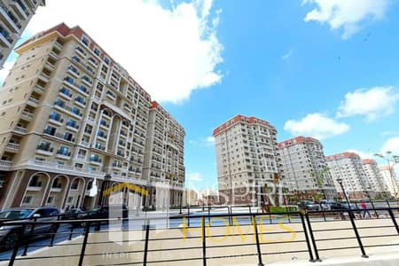 Fully Finished Resale Apartment with Immediate Delivery