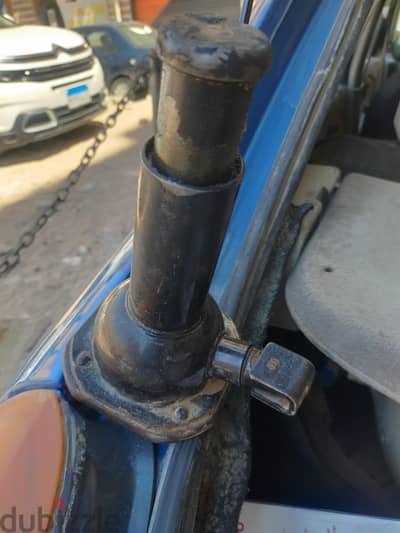 كوريك تروس