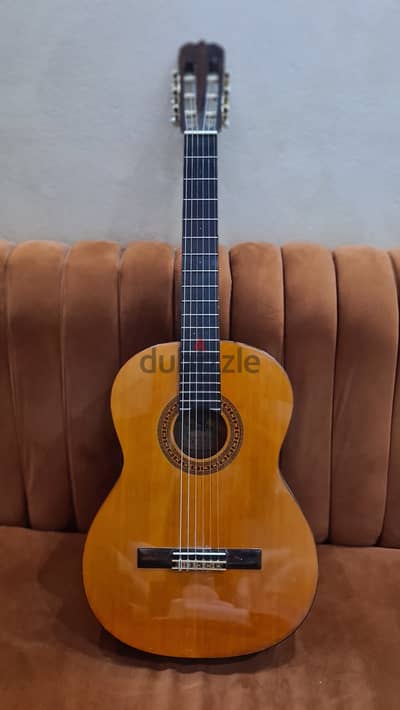Alvarez Guitars 4103