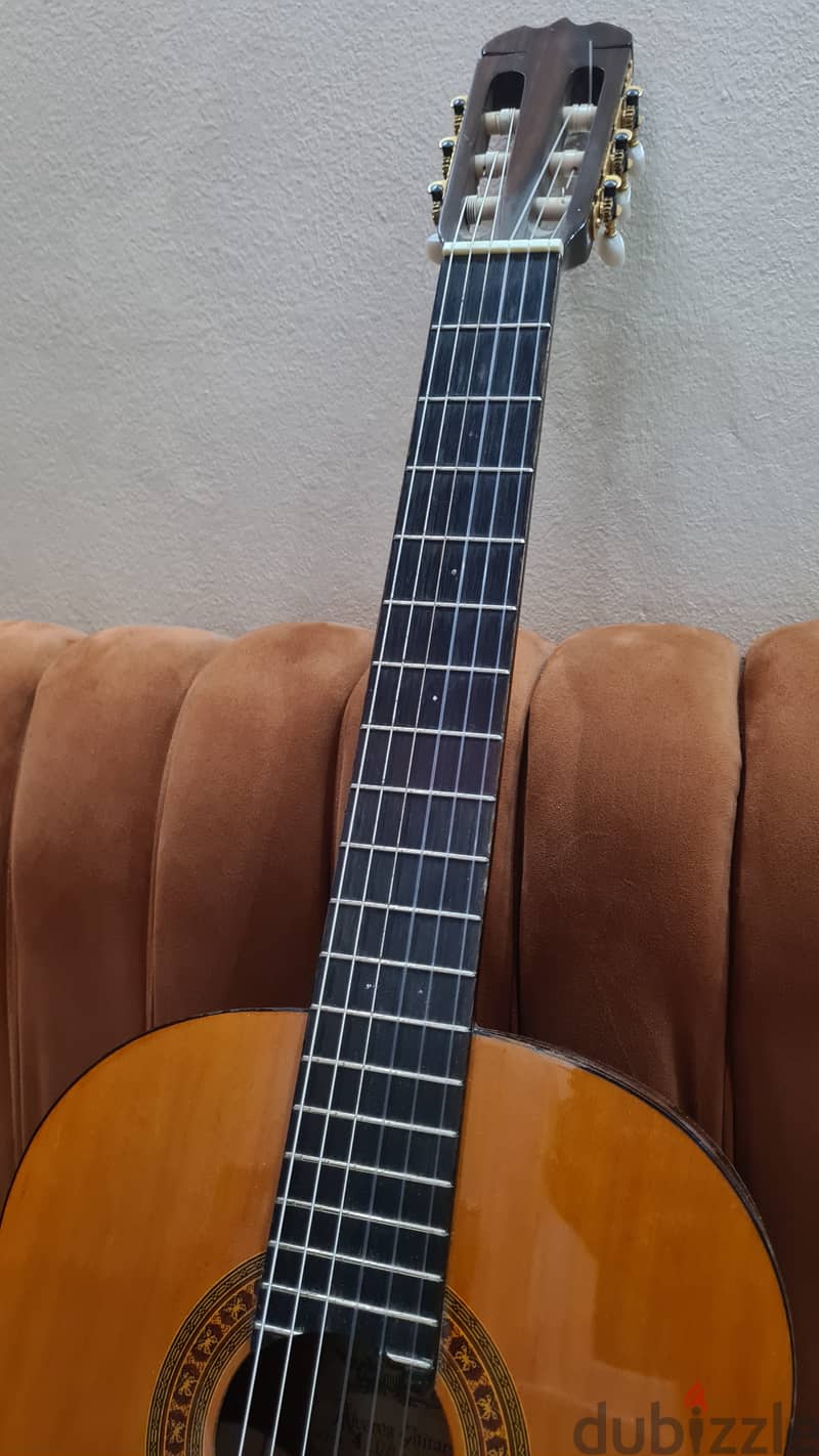 Alvarez Guitars 4103 1