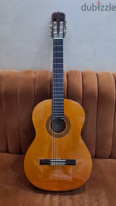 Alverez Guitars 4103