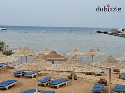 شقة بغرفة نوم واحدة مطلة على البحر وحمام السباحة - شاطئ خاص (الغردقة)