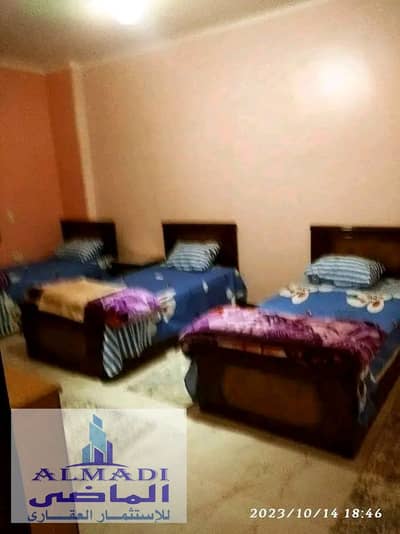 Badr City furnished investment apartment