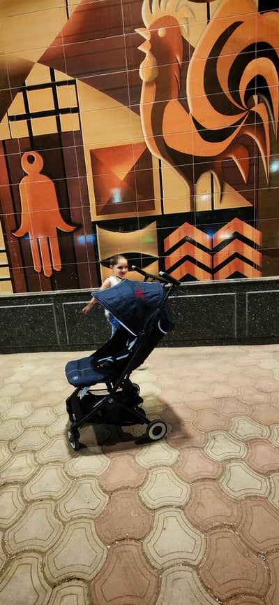 Cybex Libelle 