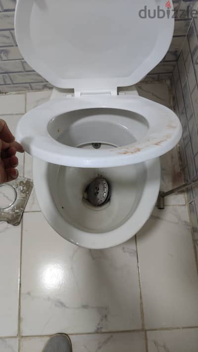 قاعدة حمام