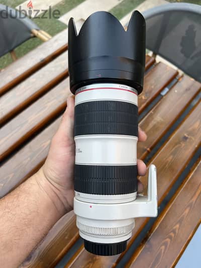 Canon 70-200 f 2.8 ii