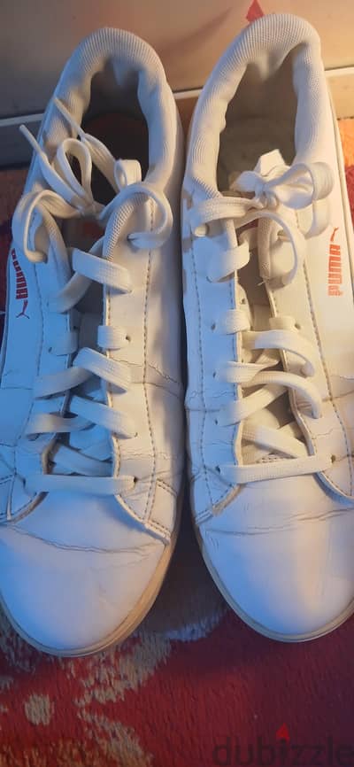 puma sneakers