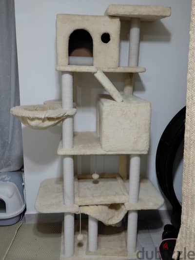 cat tree