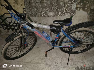 Trinex 29