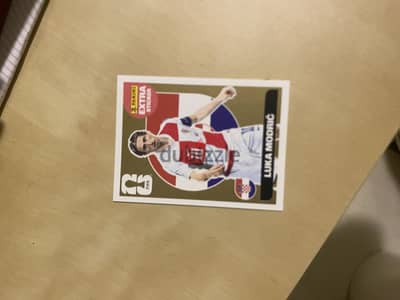 Panini sticker