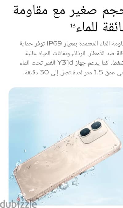 فيفو واى 31