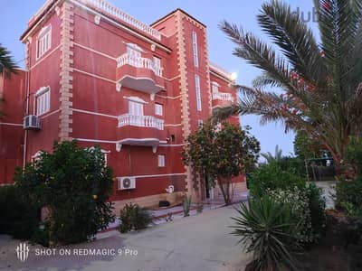 مزرعه للبيع بالسويس باستراحه ثلاث ادوار على مساحه 50 فدان