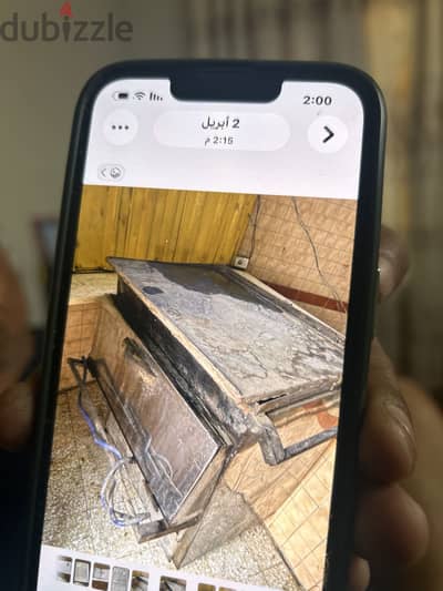 صباح الشاطر