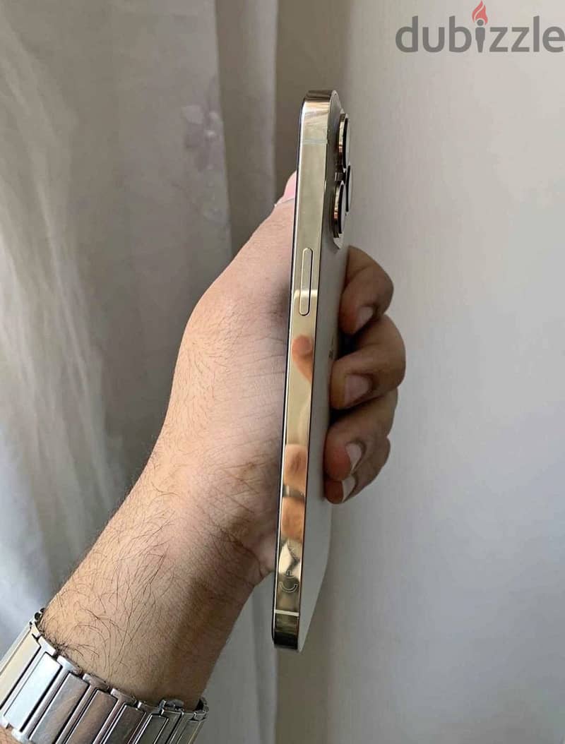 Apple - iPhone 13 Pro Max 1