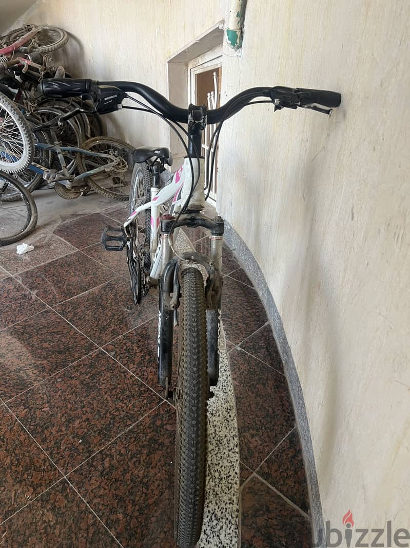 Bicycle Nakxus 2