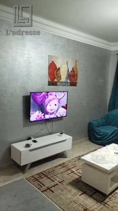  Furnished Apartment for Rent in Madinaty B11 