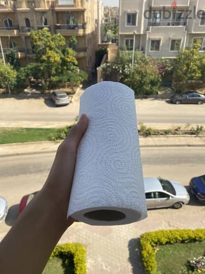 The one of a kind kitchen tissues very high quality