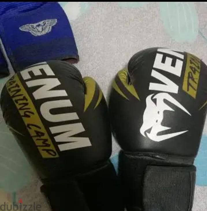 Boxing gloves 1